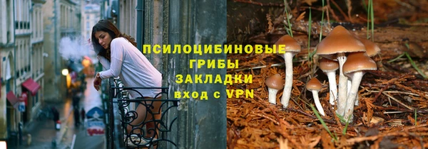 ГАЛЛЮЦИНОГЕННЫЕ ГРИБЫ Володарск